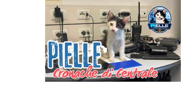 pielle